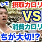 【#81】ダイエット初心者の方がまずやるべき事は？摂取カロリーダウンと消費カロリーアップはどっちが大切なんだい？