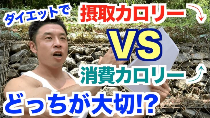 【#81】ダイエット初心者の方がまずやるべき事は？摂取カロリーダウンと消費カロリーアップはどっちが大切なんだい？